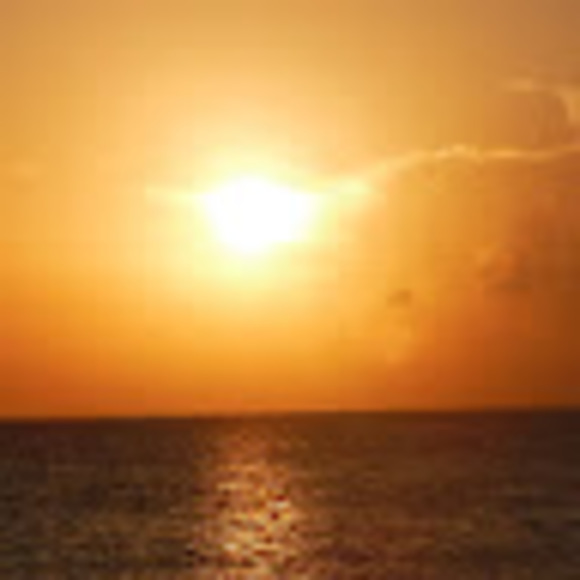 Meet your Posher, Mica - Picture 1 of 1